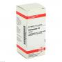 HAPLOPAPPUS D 6 Tabletten