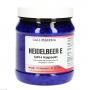 HEIDELBEER E 400 mg Kapseln