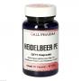 HEIDELBEER PE 400 mg Kapseln