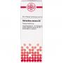HELIANTHUS ANNUUS D 2 Dilution