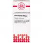 HELLEBORUS LM XXX Dilution