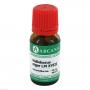 HELLEBORUS NIGER LM 18 Dilution