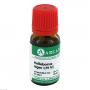HELLEBORUS NIGER LM 6 Dilution
