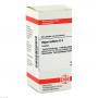 HEPAR SULFURIS D 4 Tabletten