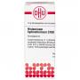 HISTAMINUM hydrochloricum C 100 Globuli Ind.Fert. HISTAMINUM hydrochloricum C 100 Globuli Ind.Fert.