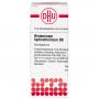 HISTAMINUM hydrochloricum D 9 Globuli Ind.Fert.