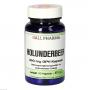 HOLUNDERBEER 350 mg GPH Kapseln