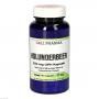 HOLUNDERBEER 350 mg GPH Kapseln