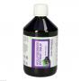HOLUNDERBEEREXTRAKT Sirup