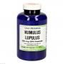 HUMULUS Lupulus 125 mg GPH Kapseln