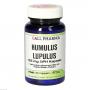HUMULUS Lupulus 125 mg GPH Kapseln
