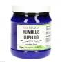 HUMULUS Lupulus 125 mg GPH Kapseln