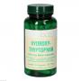 HYDROXYTRYPTOPHAN 100 mg Bios Kapseln