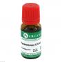 HYOSCYAMUS LM 6 Dilution