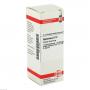 HYPERICUM D 12 Dilution