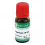 HYPERICUM LM 12 Dilution