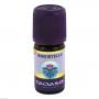 IMMORTELLE Öl Bio