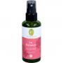 IN BALANCE Raumspray Bio