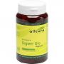 INGWER BIO Kapseln
