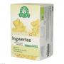 INGWER TEE mit Lemongras Dr.KOTTAS Filterbeutel
