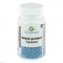 INTEST protect Tabletten