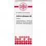 JUSTICIA adhatoda D 6 Tabletten