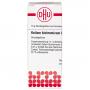 KALIUM BICHROMICUM C 100 Globuli Ind.Fert.