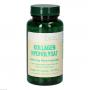 KOLLAGEN HYDROLYSAT 280 mg Bios Kapseln
