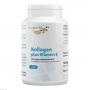 KOLLAGEN HYDROLYSAT 500 mg Kapseln