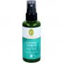 KONZENTRATION Raumspray Bio