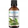 KRAUSER AMPFER Rumex crispus Tinktur