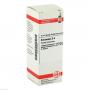 KREOSOTUM D 4 Dilution