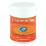 L-CARNITIN KAPSELN 500 mg