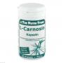 L-CARNOSIN 500 mg Kapseln