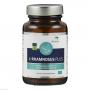 L-RHAMNOSUS Plus American Biologics Kapseln