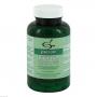 LACTASE 12.000 FCC Kapseln