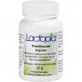 LACTOPIA ProBio pure Kapseln
