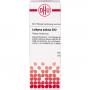 LATHYRUS SATIVUS D 12 Dilution