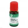 LATHYRUS SATIVUS LM 6 Dilution