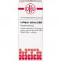 LATHYRUS SATIVUS LM III Dilution Ind.Fert.