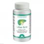 LEBER FORTE Bergamot Mariendistel Cholin Dr.Jacobs
