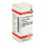 LEDUM C 1000 Globuli