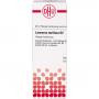 LEONURUS CARDIACA D 2 Dilution