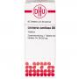 LEONURUS CARDIACA D 6 Tabletten