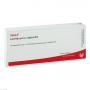 LEVISTICUM E radice D 4 Ampullen