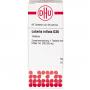 LOBELIA INFLATA D 30 Tabletten
