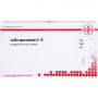 LUFFA OPERCULATA D 12 Ampullen