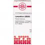 LYCOPODIUM LM XXIV Dilution