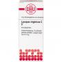 LYCOPUS VIRGINICUS C 9 Globuli Ind.Fert.