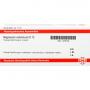 MAGNESIUM CARBONICUM D 12 Ampullen